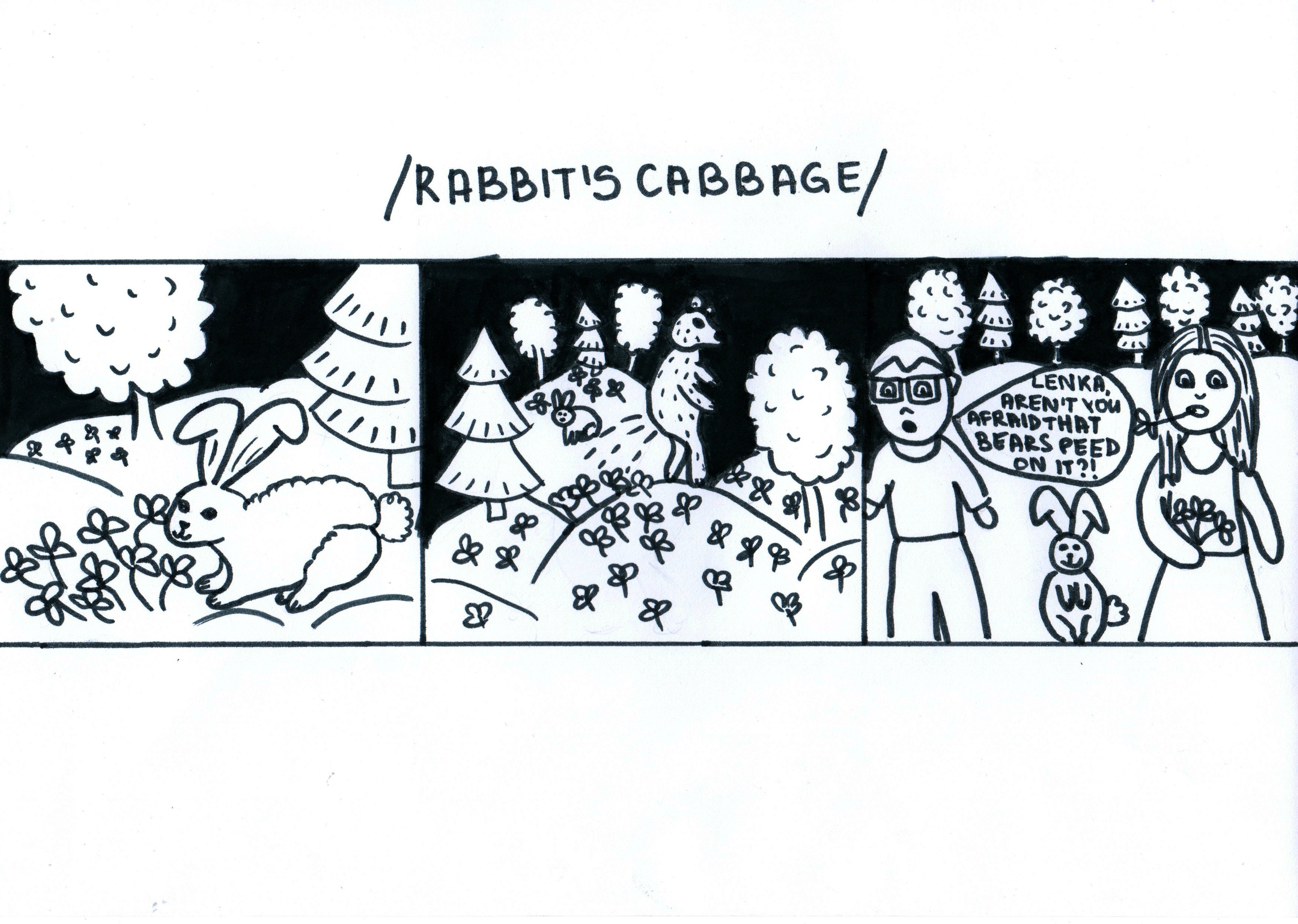 rabbitscabbage